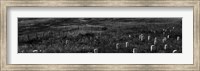 Gravestones, Last Stand Hill, Little Bighorn Battlefield National Monument, Montana Fine Art Print