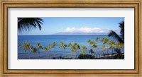 Palm Trees on the Beach, Maui, Hawaii Fine Art Print