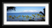 Palm Trees on the Beach, Maui, Hawaii Fine Art Print