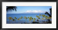 Palm Trees on the Beach, Maui, Hawaii Fine Art Print