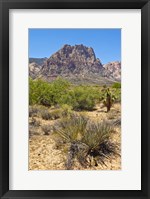 Red Rock Canyon National Conservation Area, Las Vegas, Nevada Fine Art Print