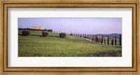 Tree Line, Tuscany, Italy Fine Art Print