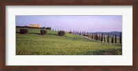 Tree Line, Tuscany, Italy Fine Art Print