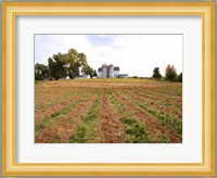 Barn and Silo, Colts Neck Township, New Jersey Fine Art Print