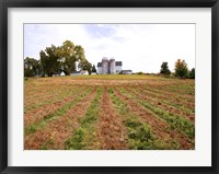 Barn and Silo, Colts Neck Township, New Jersey Fine Art Print