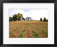 Barn and Silo, Colts Neck Township, New Jersey Fine Art Print