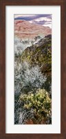 Cliffs in Snow Canyon State Park, Utah Fine Art Print