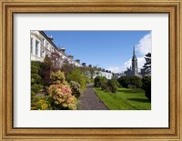 St Coleman's Cathedral Beyond, County Cork, Ireland Fine Art Print