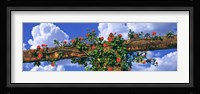 Arbor and Spreading Rose, California Fine Art Print