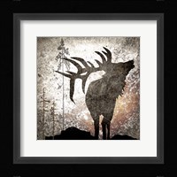 Calling Elk Framed Print