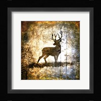 High Country Deer Framed Print