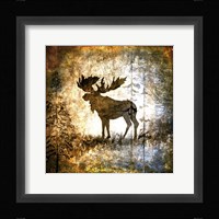 High Country Moose Framed Print