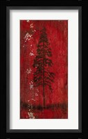 Lodge Pole Pine Fine Art Print
