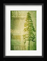 Big Piney Framed Print