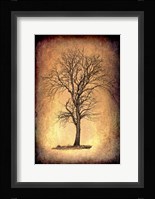 For the Love of Trees II Fine Art Print
