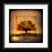 For the Love of Trees III Fine Art Print