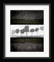 Black Tree 2 Framed Print