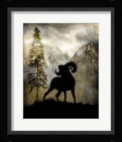 Mystic Big Horn Framed Print