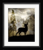 Mystic Deer Framed Print