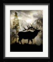 Mystic Elk Fine Art Print