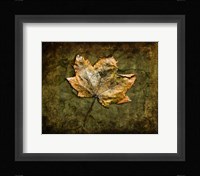 Metallic Leaf 1 Fine Art Print