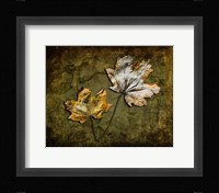 Metallic Leaf 2 Fine Art Print