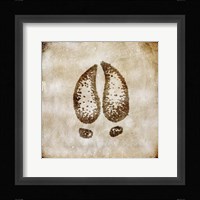 Moose Lodge - Moose Track Framed Print