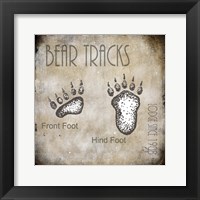 Moose Lodge 2 - Bear Tracks 2 Fine Art Print