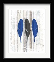 The Blue Moose - Feathers Framed Print