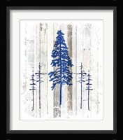 The Blue Moose - Lodge Pole Pine Fine Art Print