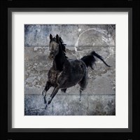 Black Mare 1 Framed Print