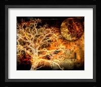 A Raven's World Framed Print