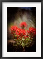 Desert Flower 1 Fine Art Print