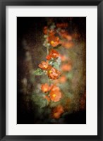Desert Flower 5 Framed Print