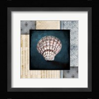 Blue Sea Clam Shell 2 Framed Print