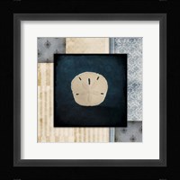 Blue Sea Sand Dollar Fine Art Print