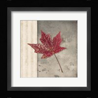Lodge Leaf 1 Fine Art Print
