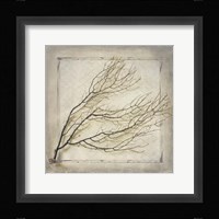 Starfish Sea Leaf Framed Print
