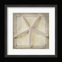 Starfish Fine Art Print