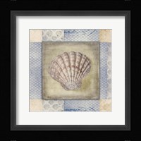 White Sea Shell Framed Print