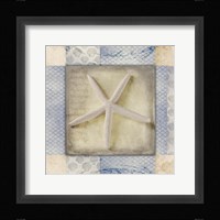 White Sea Starfish Fine Art Print