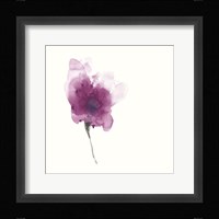 Expressive Blooms II Framed Print