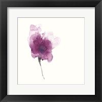 Expressive Blooms II Framed Print