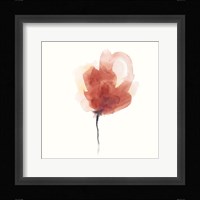 Expressive Blooms III Framed Print