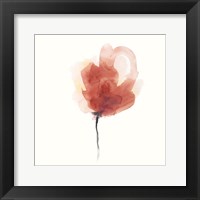 Expressive Blooms III Framed Print