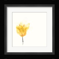 Expressive Blooms VIII Framed Print