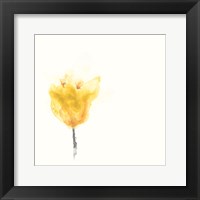 Expressive Blooms VIII Framed Print