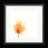 Expressive Blooms X Framed Print