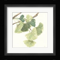 Gingko Leaves I Light Framed Print