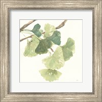 Gingko Leaves I Light Fine Art Print